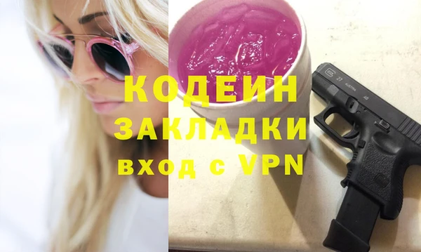 гидра Галич