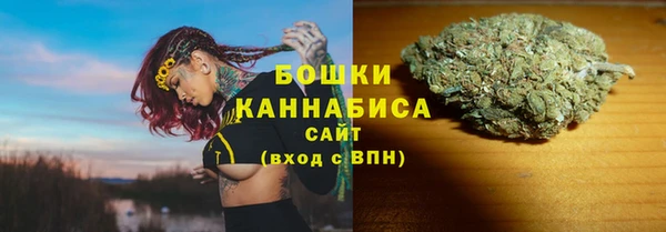 ALPHA-PVP Гвардейск