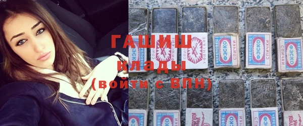 гидра Галич