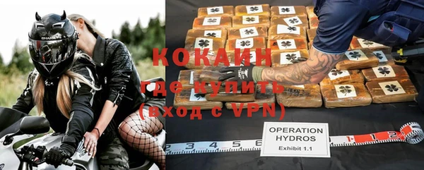 гашик Балахна