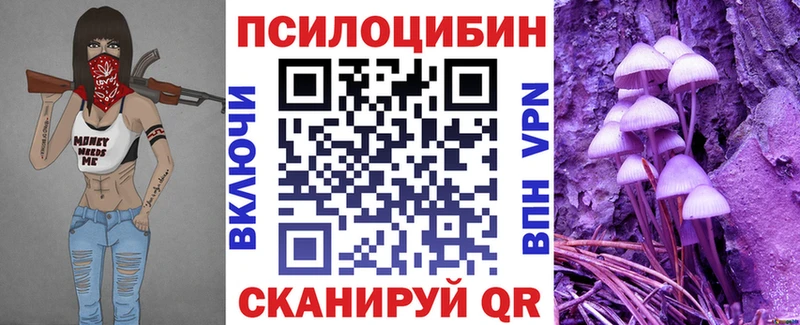 где можно купить наркотик  Кубинка  Псилоцибиновые грибы мицелий 